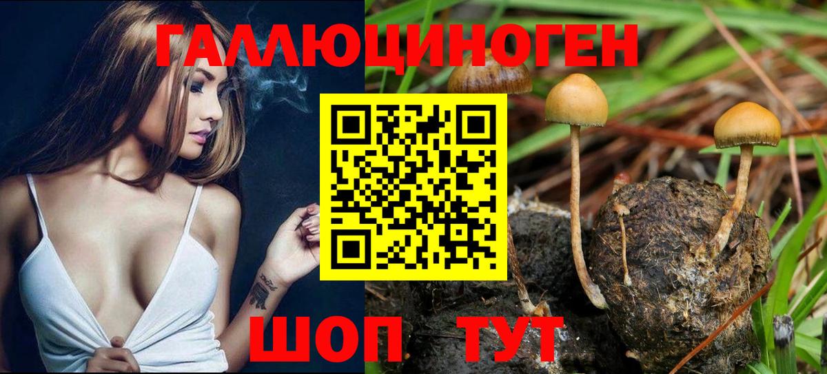 Псилоцибиновые грибы Magic Shrooms Шали