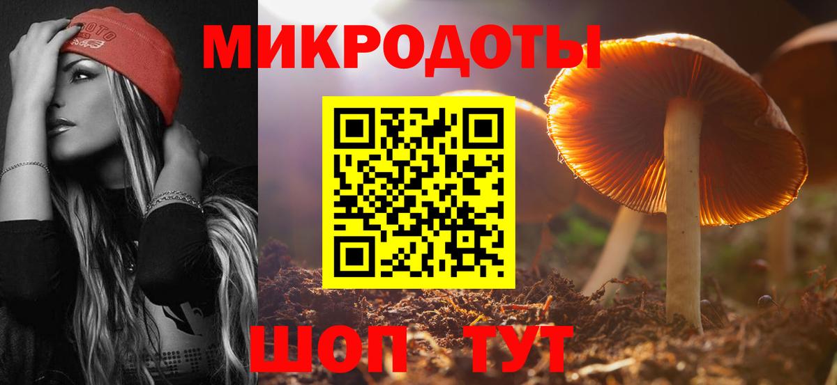 Псилоцибиновые грибы прущие грибы  Вход с VPN  Шали 